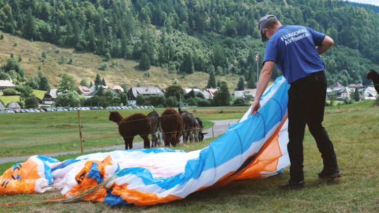 Schirm auslegen mit Lamas